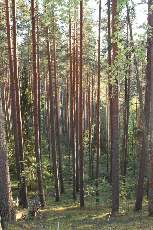 Kruunupuisto 4* Punkaharju