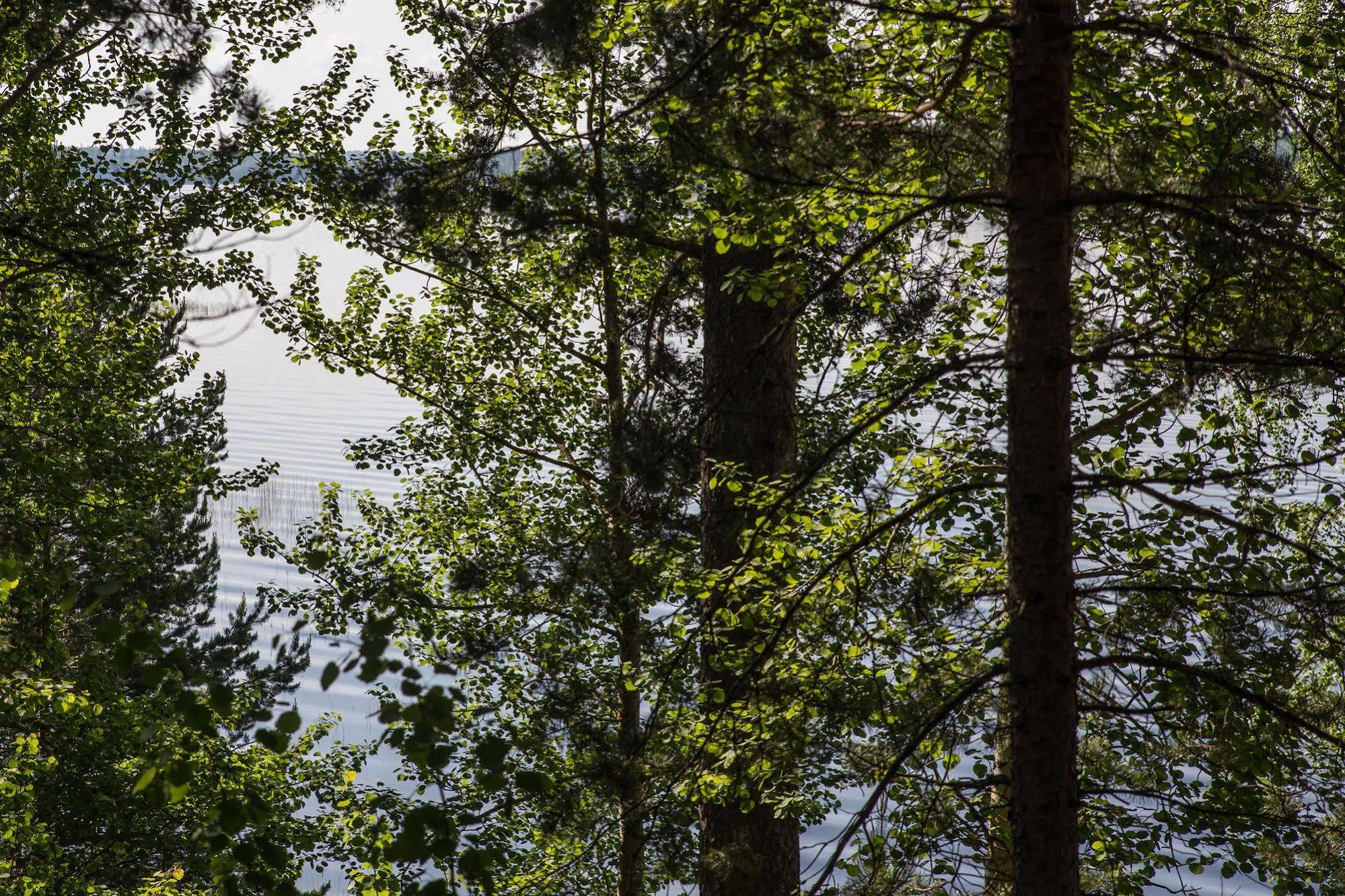 Kruunupuisto Punkaharju